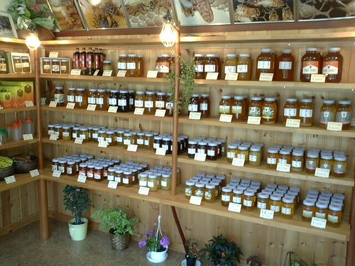 瀬戸の蜂蜜屋　honey shop in Seto