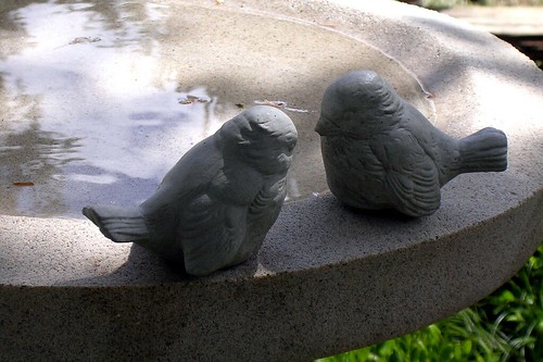 Bird Bath - 2