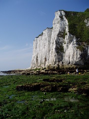 Dover's white cliffs in all their glory