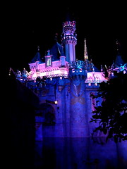 Disneyland Castle @night (reverse)