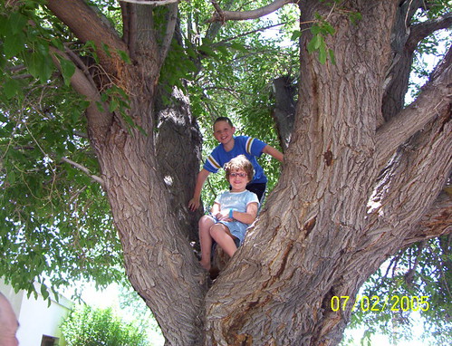 grandkids 2005 july 4 001