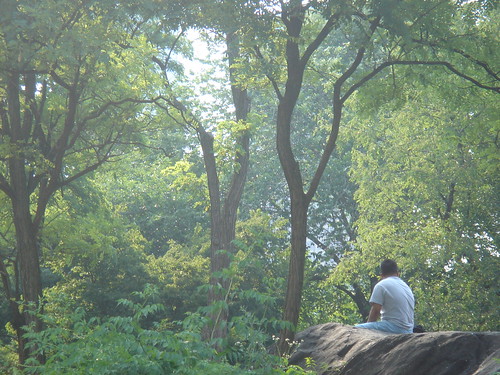 Watching The Central Park Haze